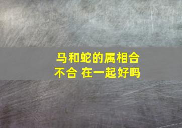 马和蛇的属相合不合 在一起好吗